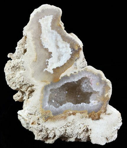 Agatized Fossil Coral Geode - Florida #51171